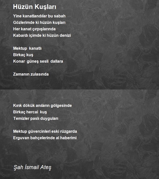 Şah İsmail Ateş