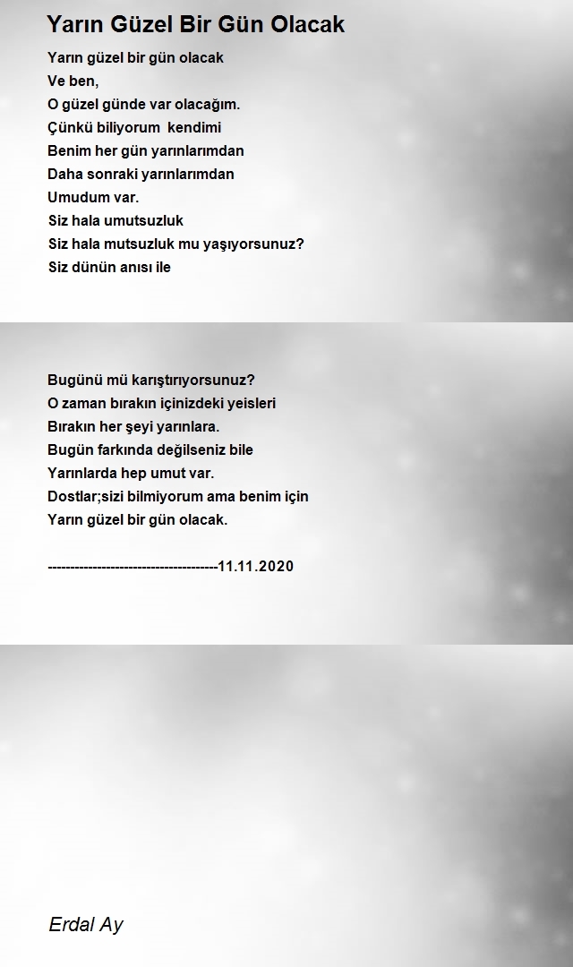 Erdal Ay