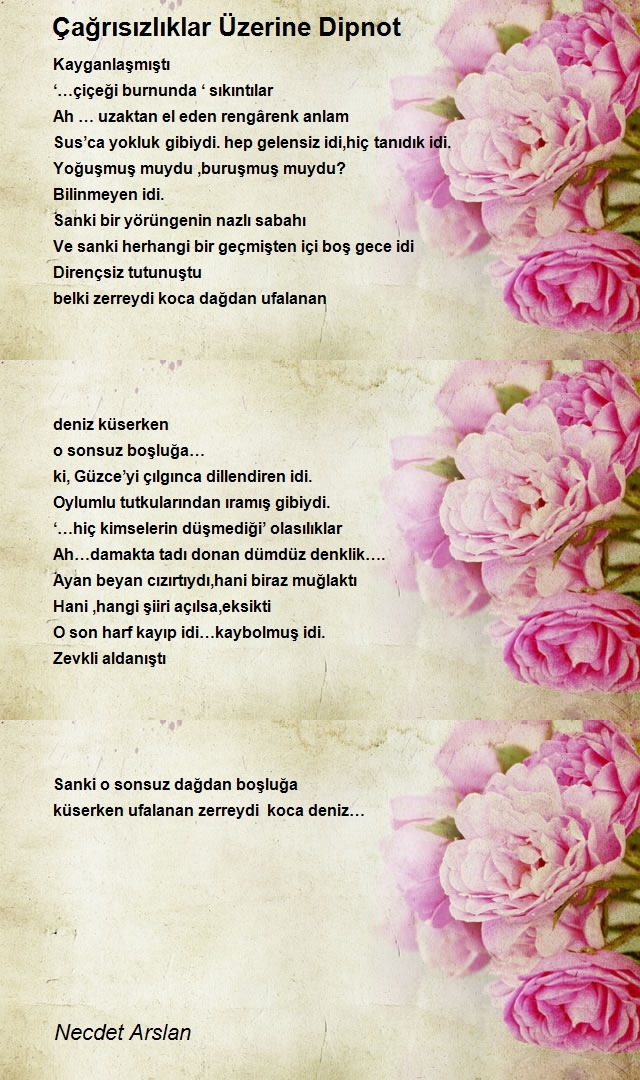 Necdet Arslan