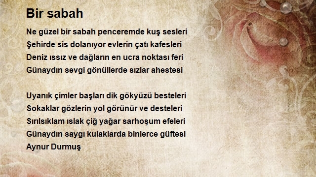 Aynur Durmuş