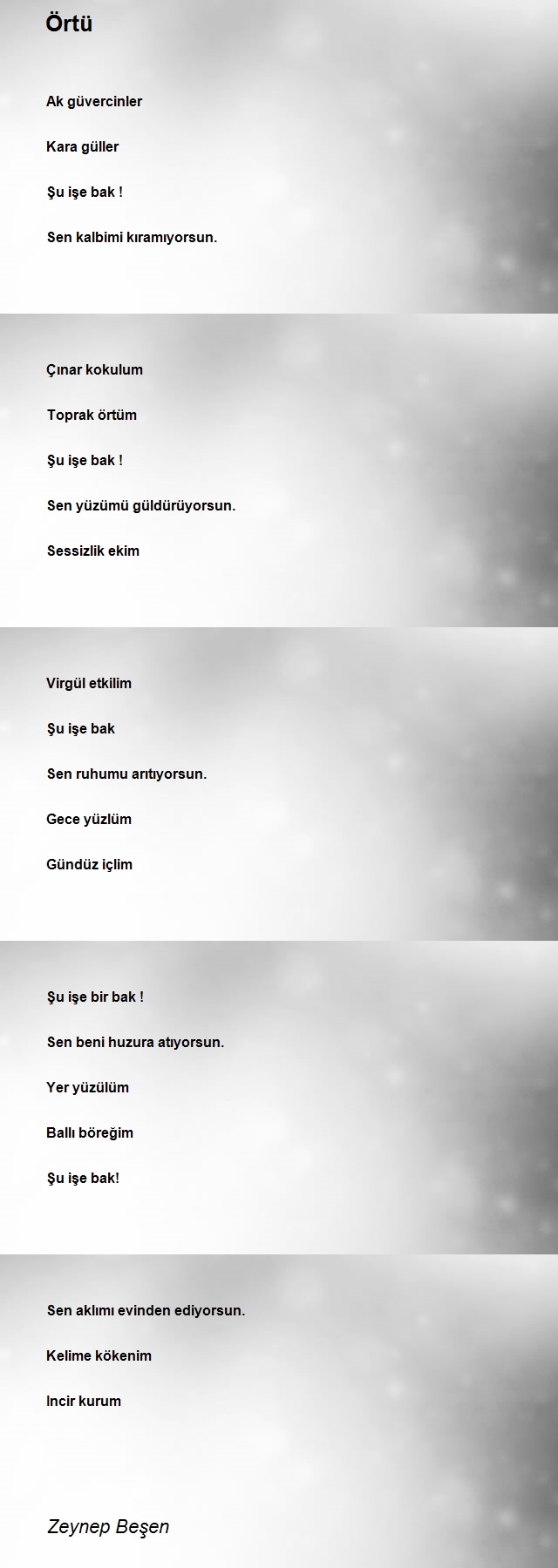 Zeynep Beşen