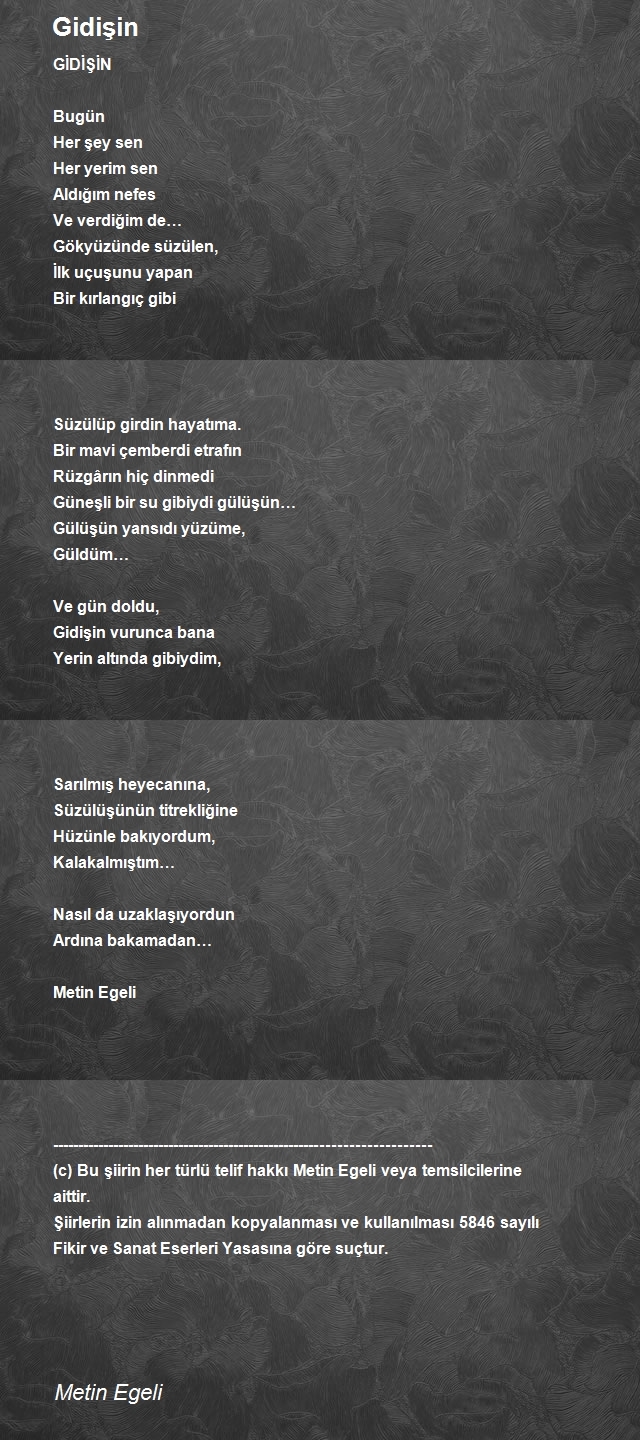 Metin Egeli