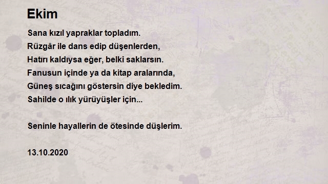 Ufuk Topçu