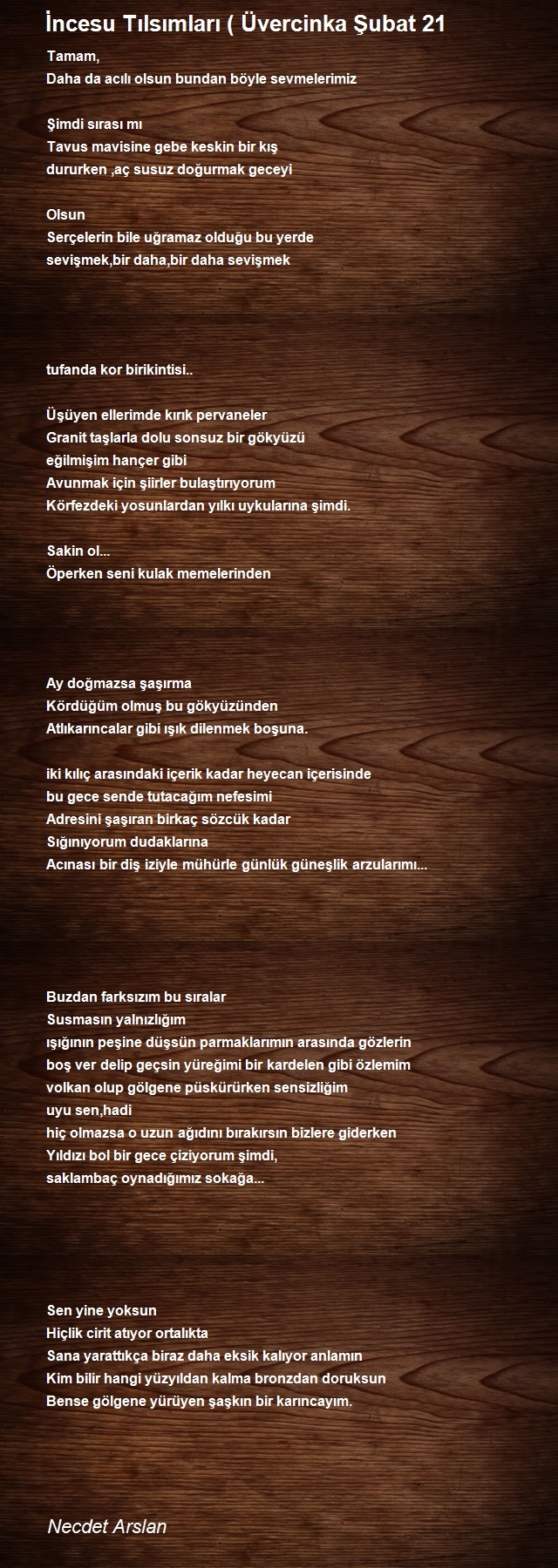 Necdet Arslan