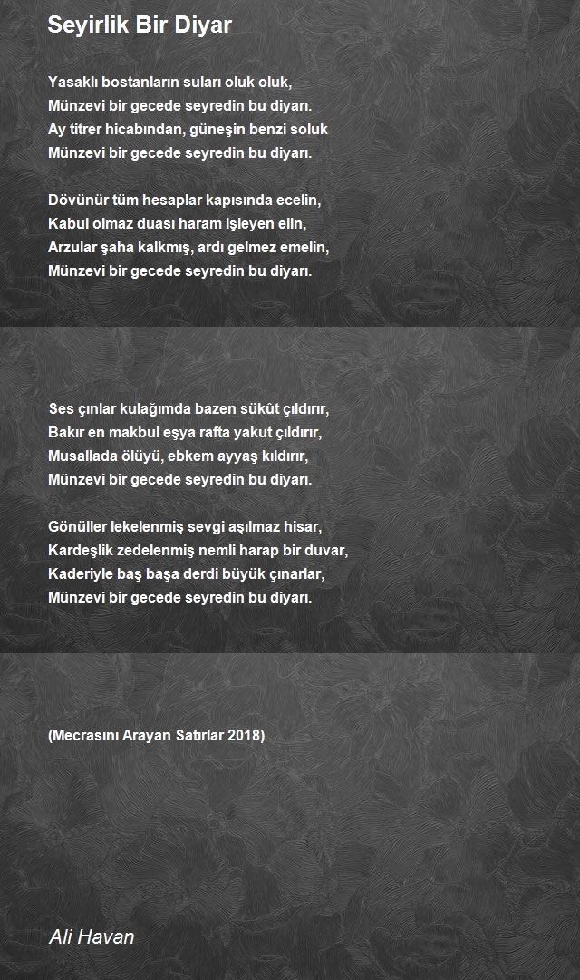Ali Havan