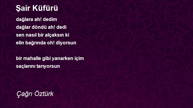 Çağrı Öztürk