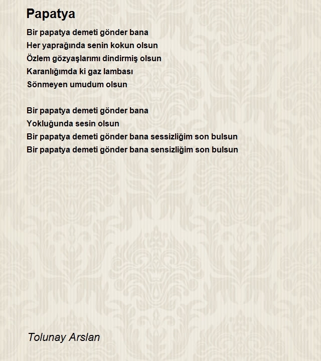 Tolunay Arslan