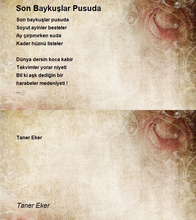 Taner Eker