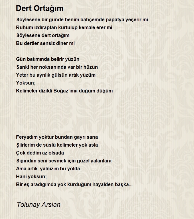 Tolunay Arslan