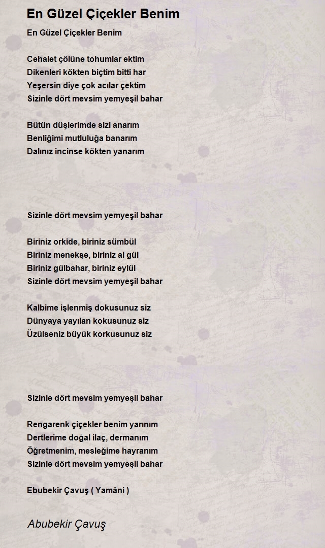 Abubekir Çavuş