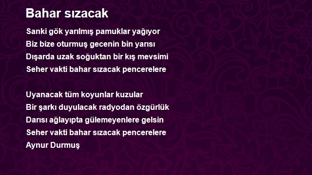 Aynur Durmuş