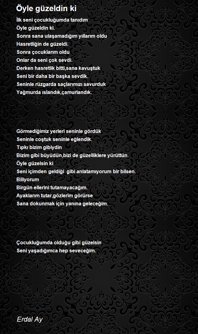 Erdal Ay