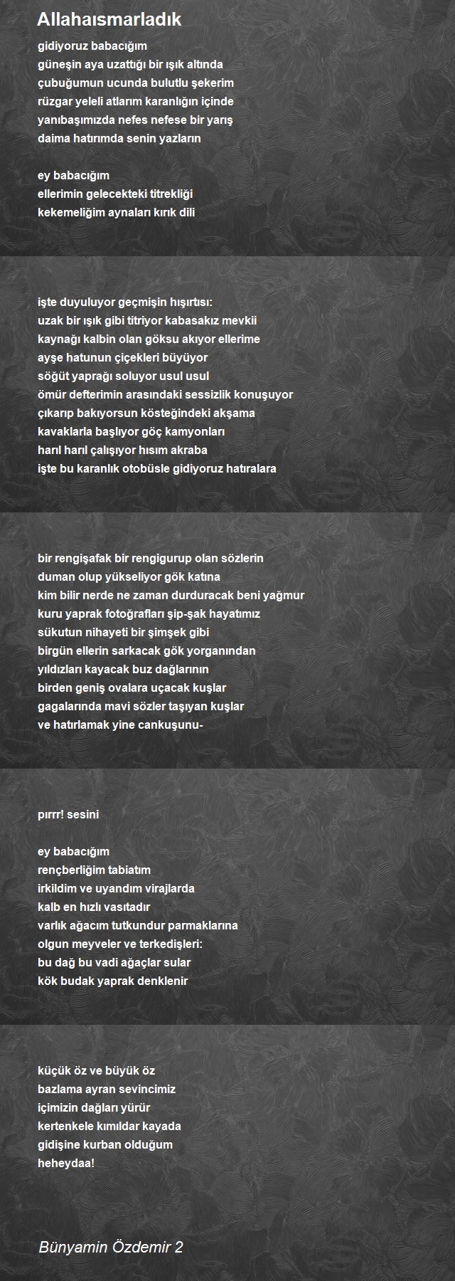 Bünyamin Özdemir 2
