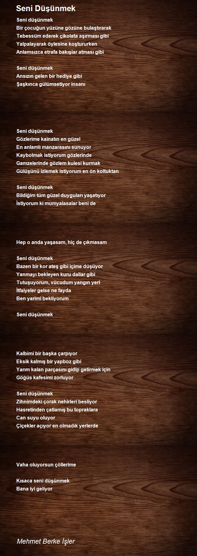 Mehmet Berke İşler