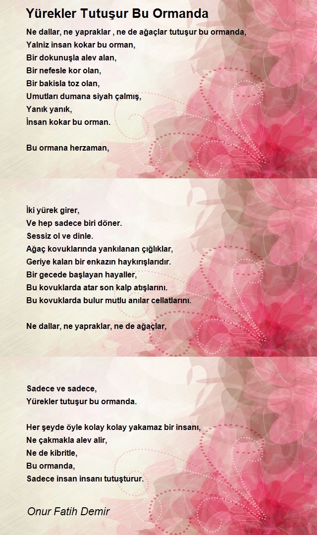 Onur Fatih Demir