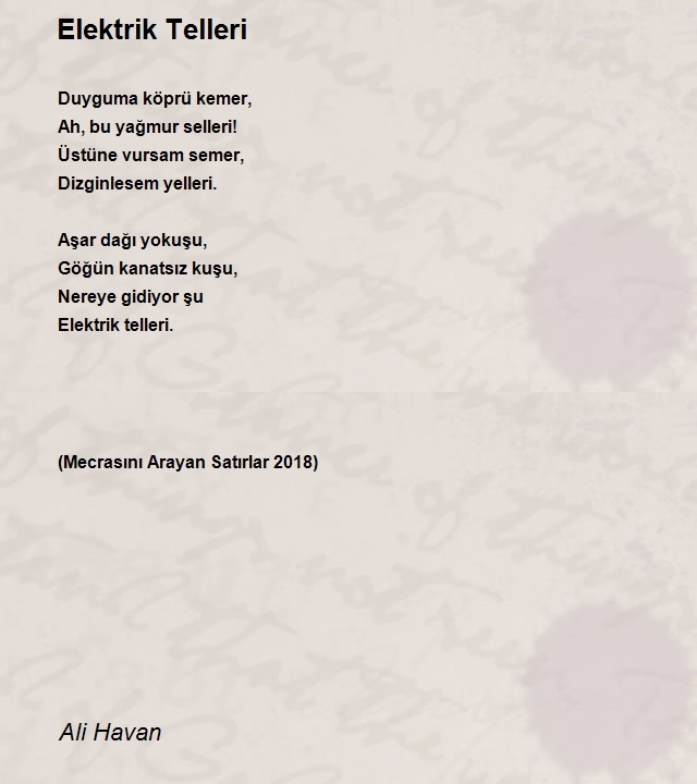 Ali Havan