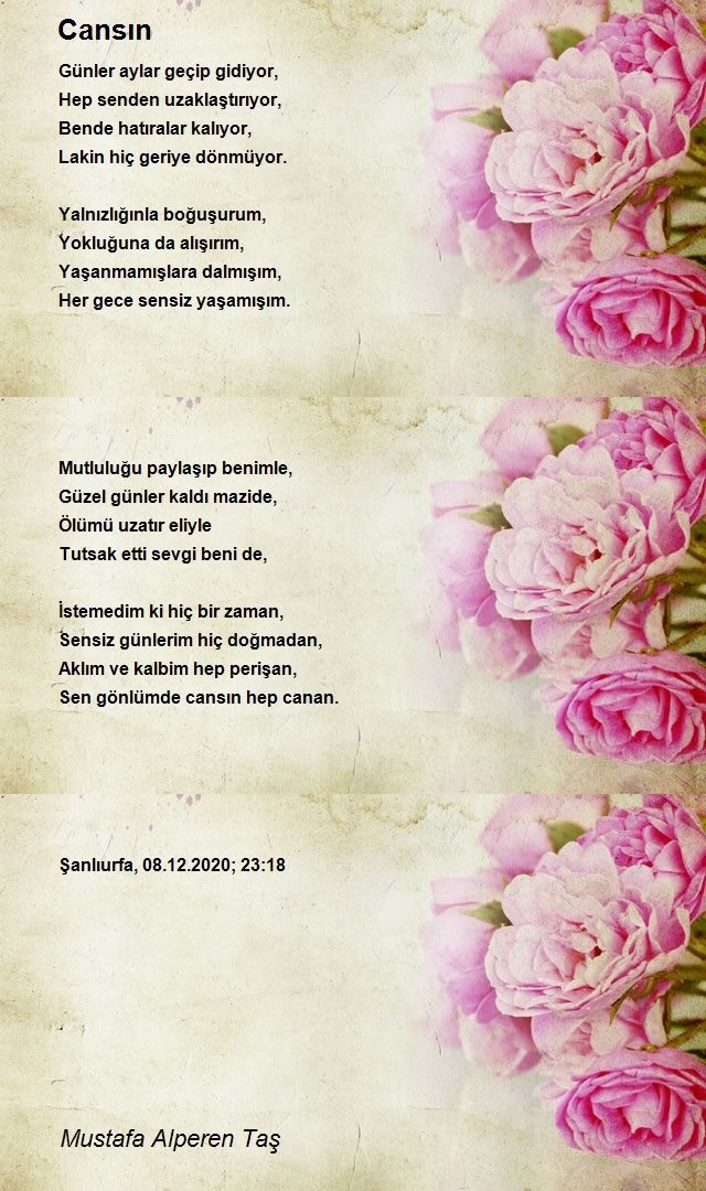 Mustafa Alperen Taş