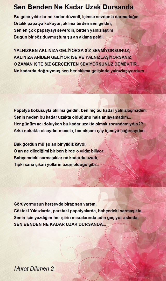 Murat Dikmen 2