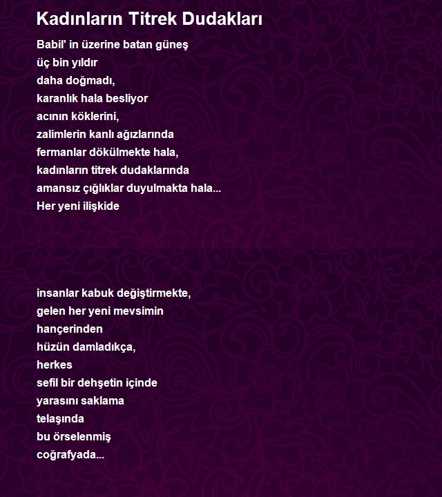 Hadi Kuranlıoğlu