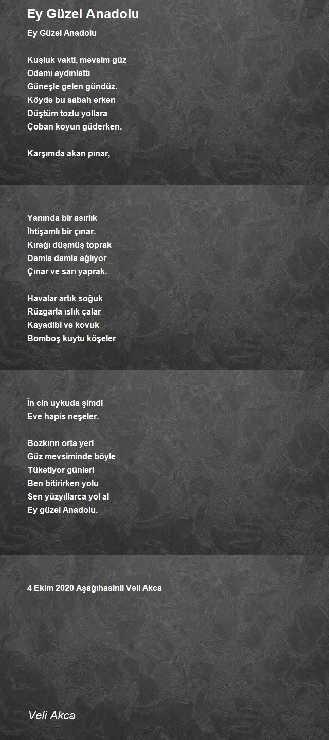 Veli Akca
