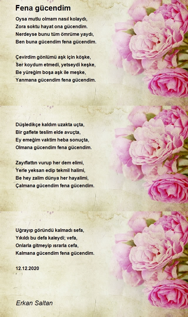 Erkan Saltan