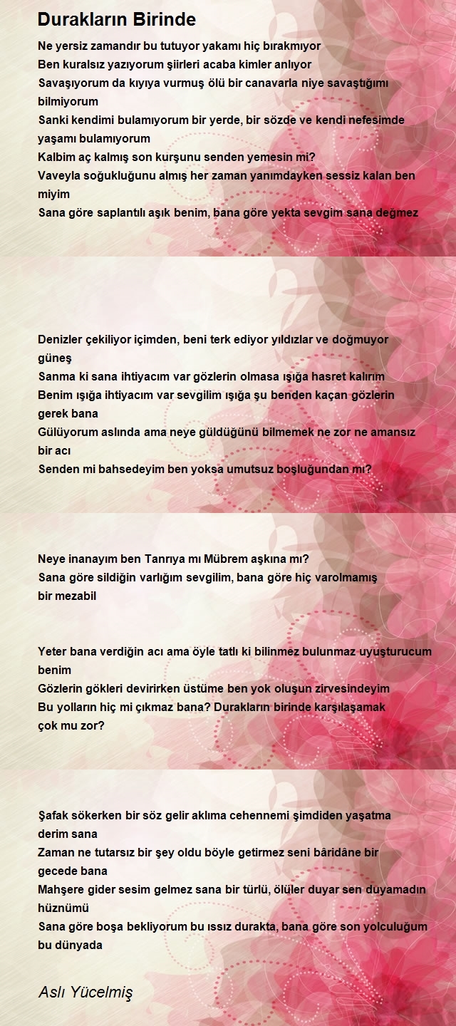 Aslı Yücelmiş