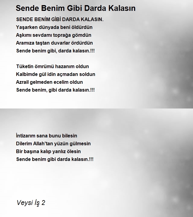 Veysi İş 2