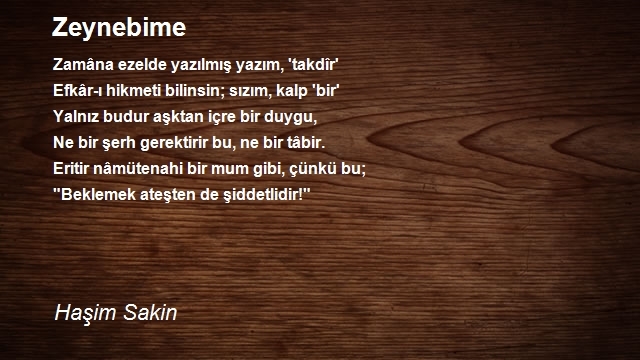 Haşim Sakin
