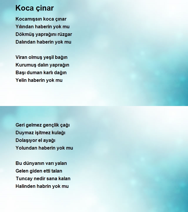 Tuncay Akdeniz
