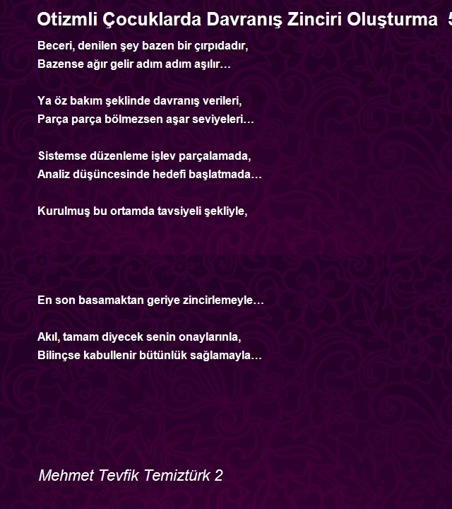 Mehmet Tevfik Temiztürk 2