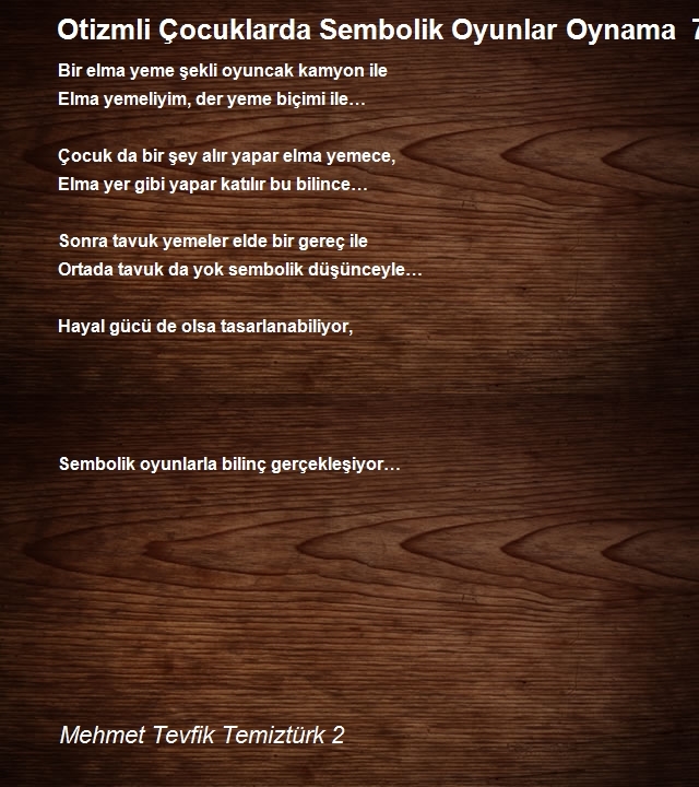 Mehmet Tevfik Temiztürk 2