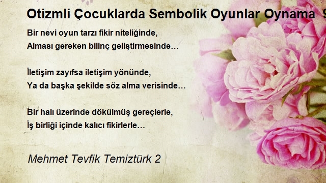 Mehmet Tevfik Temiztürk 2
