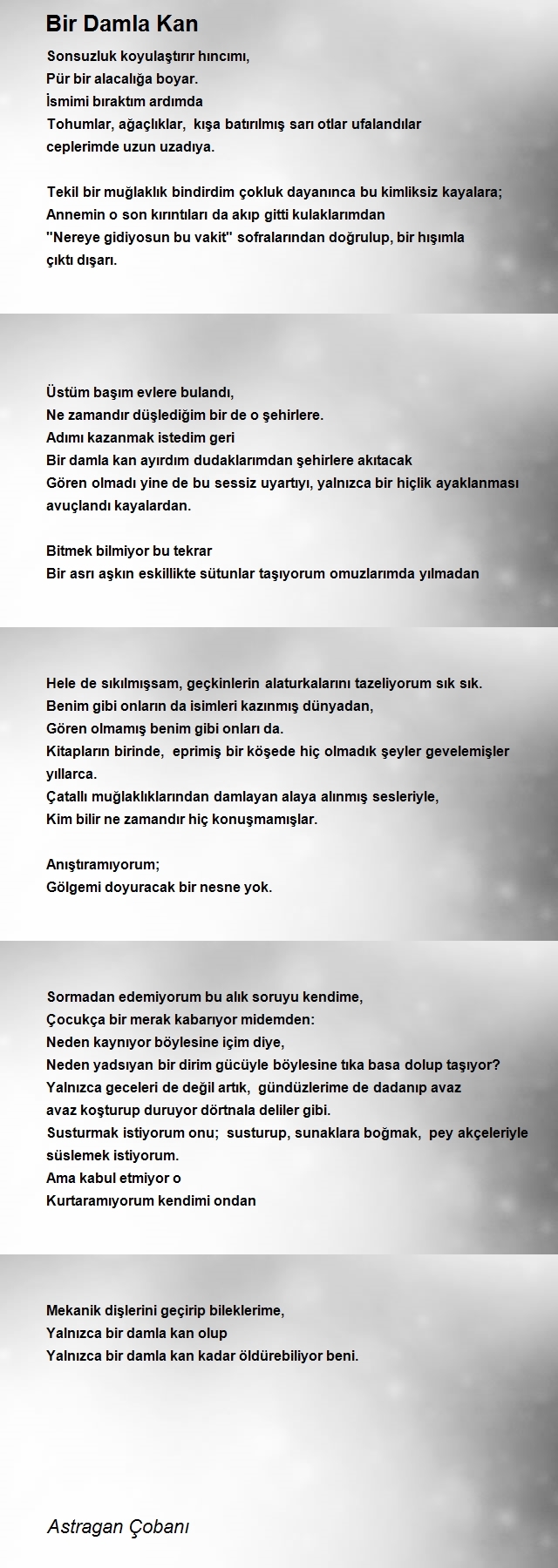 Astragan Çobanı