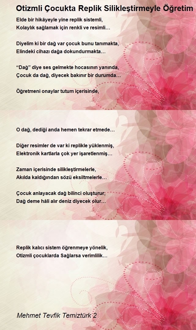Mehmet Tevfik Temiztürk 2