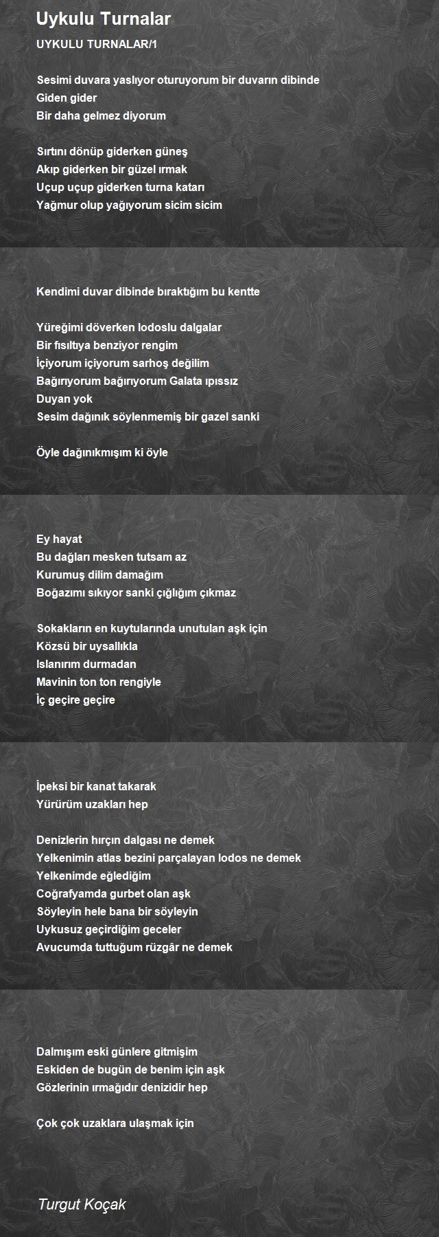 Turgut Koçak