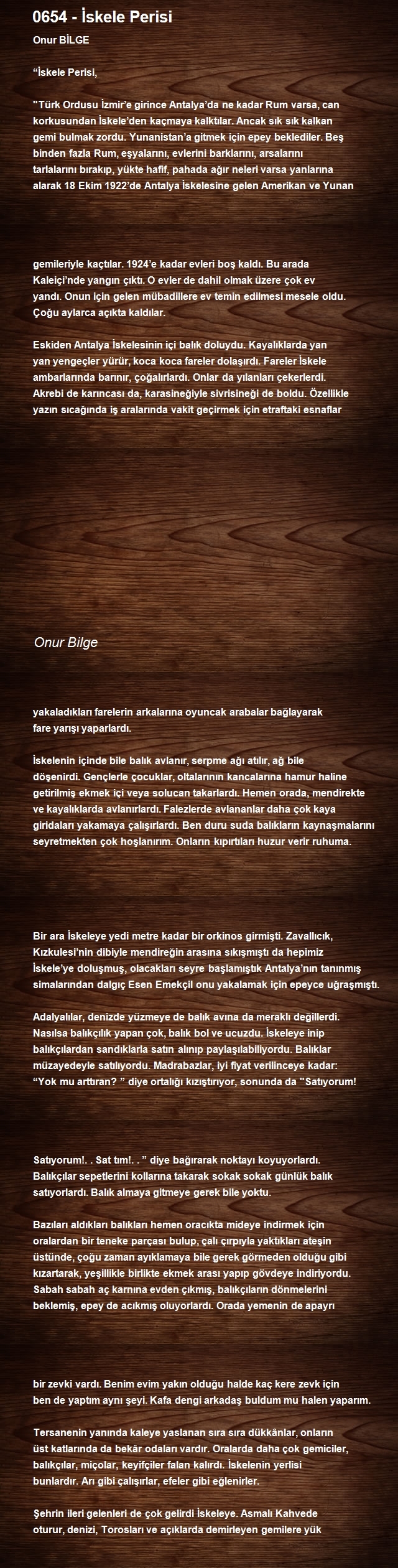 Onur Bilge