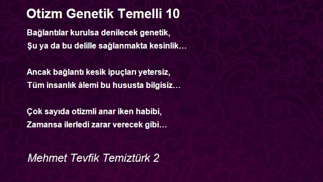 Mehmet Tevfik Temiztürk 2