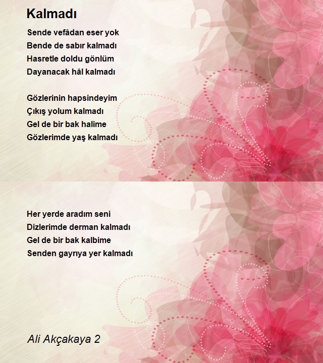 Ali Akçakaya 2