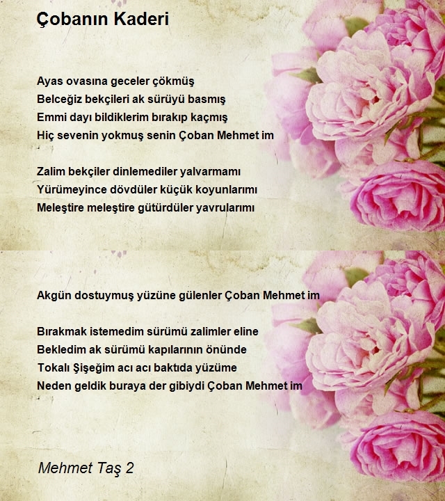 Mehmet Taş 2