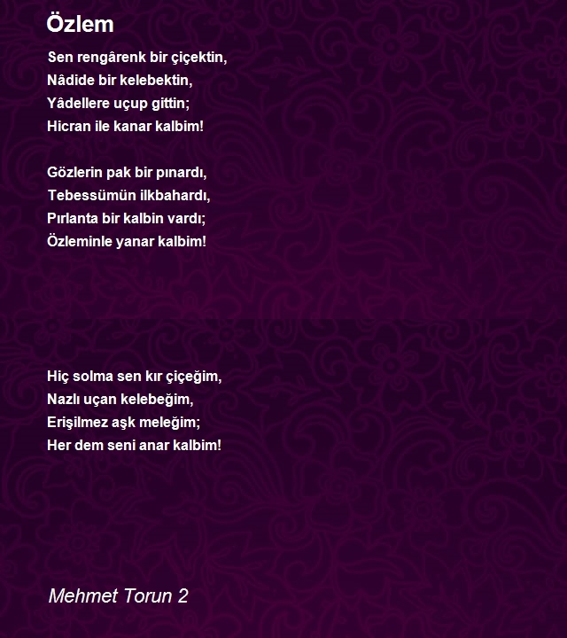 Mehmet Torun 2