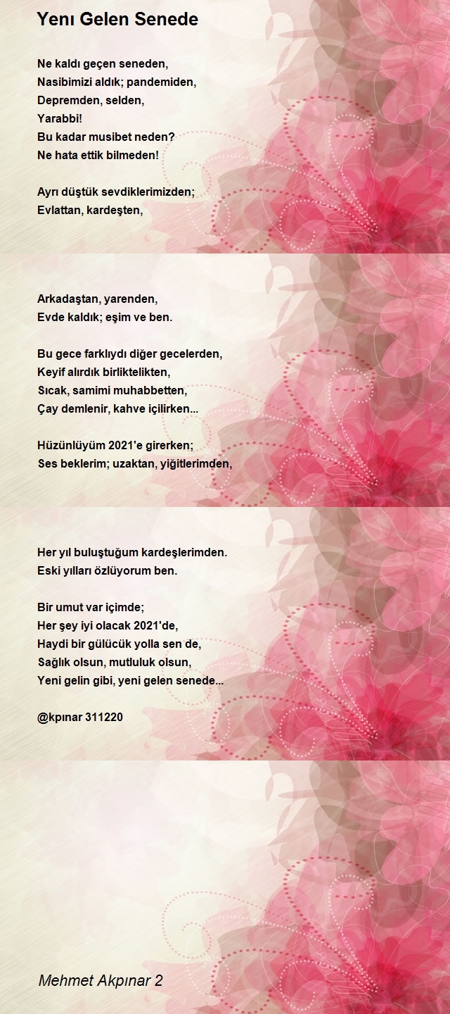 Mehmet Akpınar 2