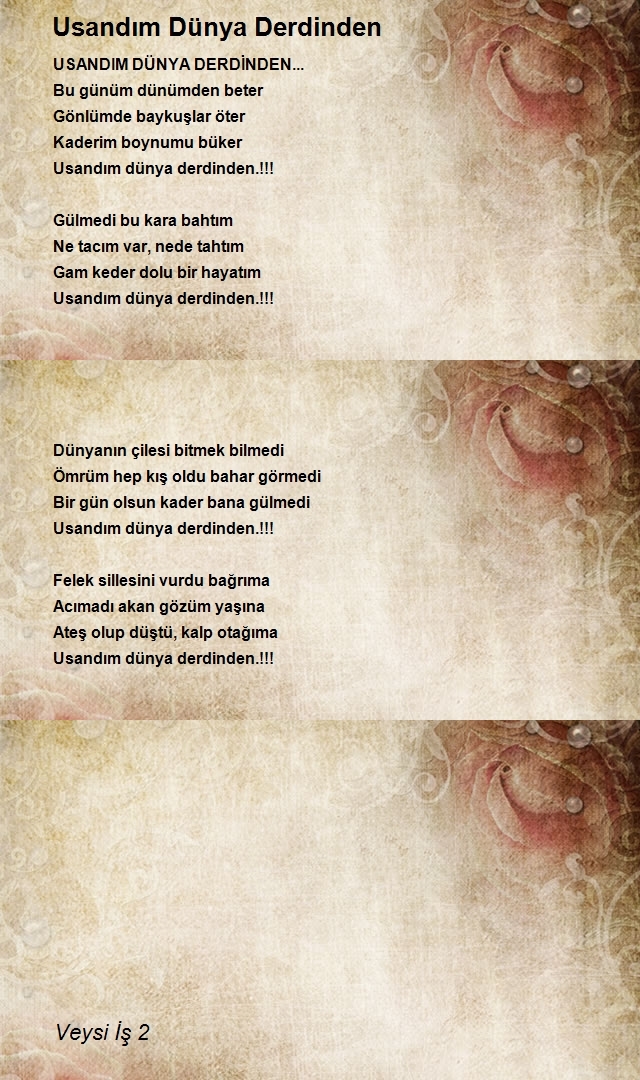 Veysi İş 2