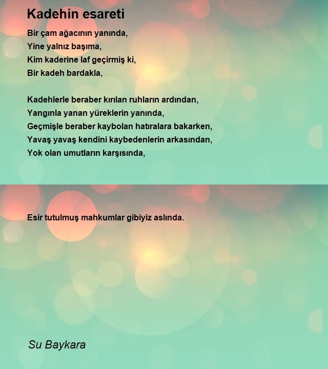 Su Baykara