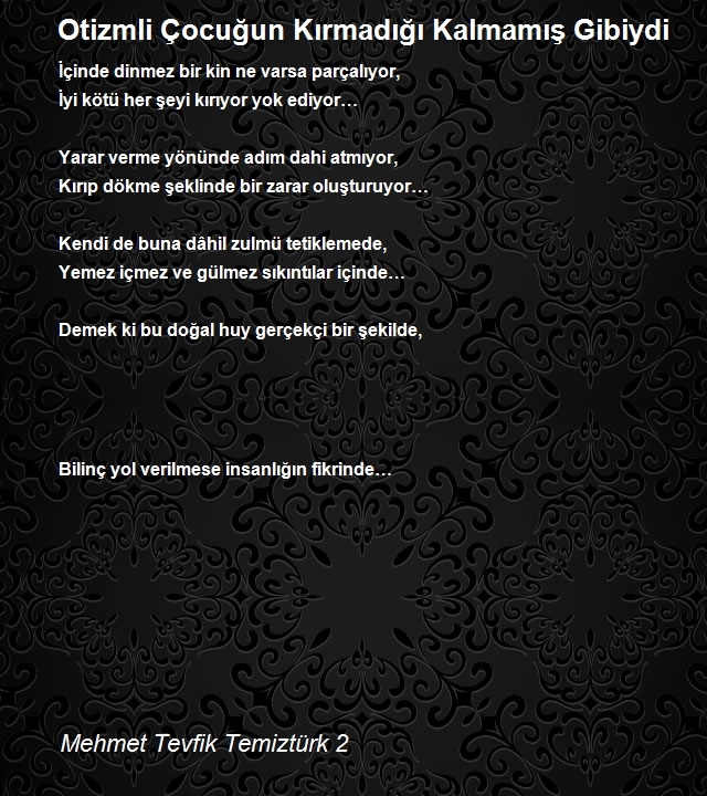 Mehmet Tevfik Temiztürk 2