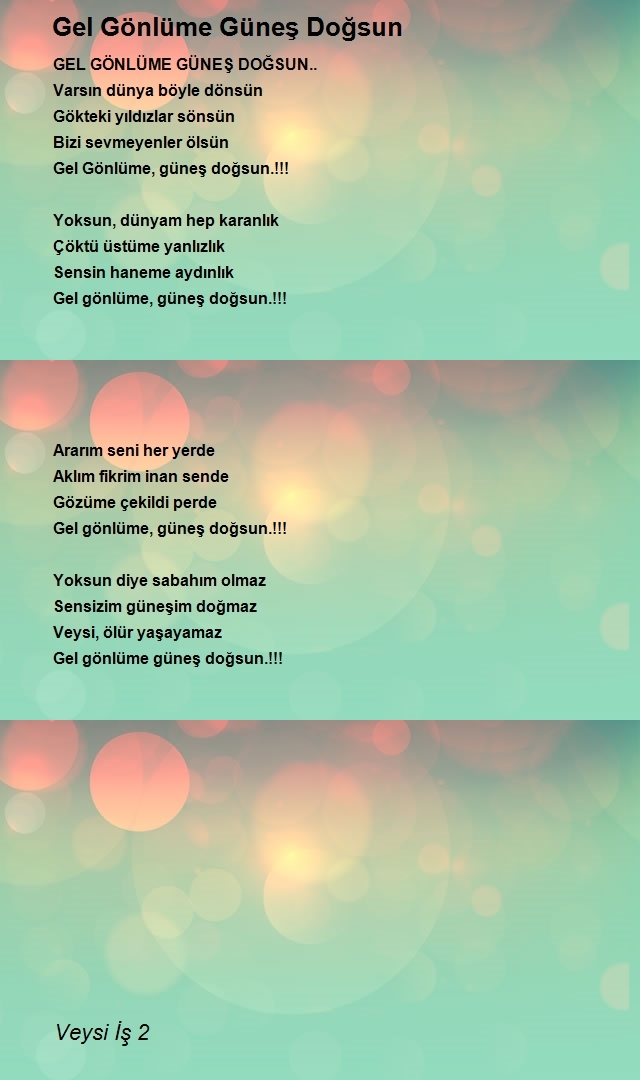 Veysi İş 2