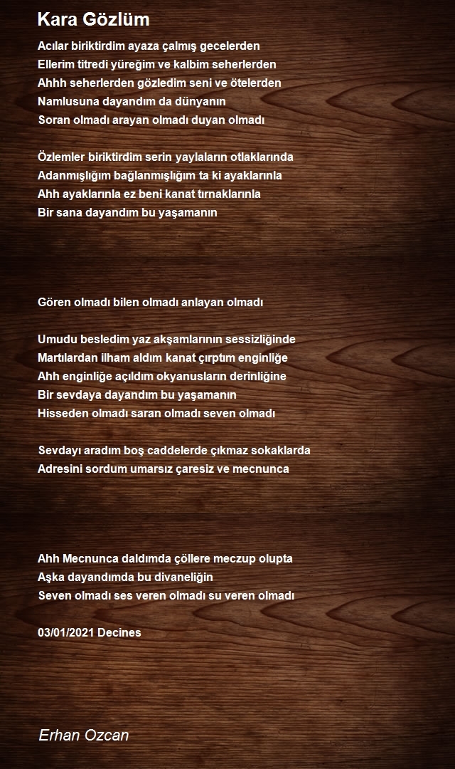 Erhan Ozcan