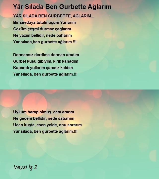 Veysi İş 2