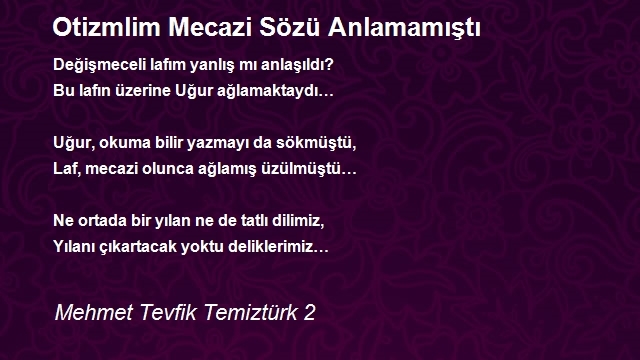 Mehmet Tevfik Temiztürk 2