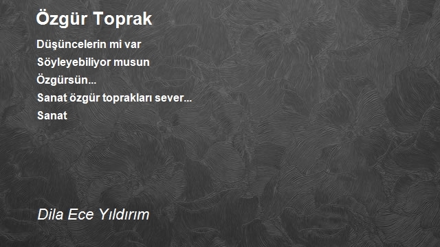 Aşk Aşkın Şehri Ordu