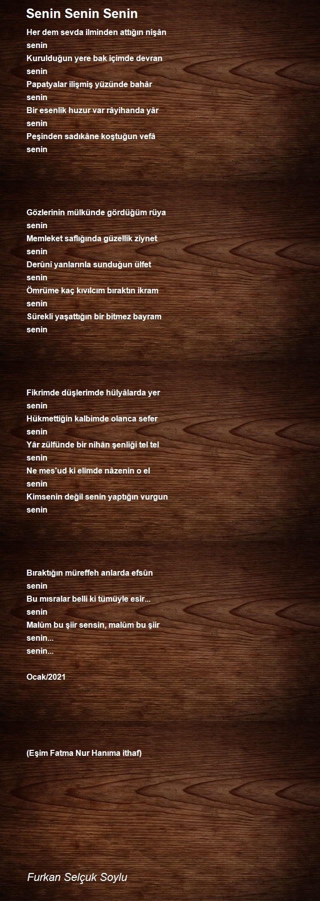 Furkan Selçuk Soylu